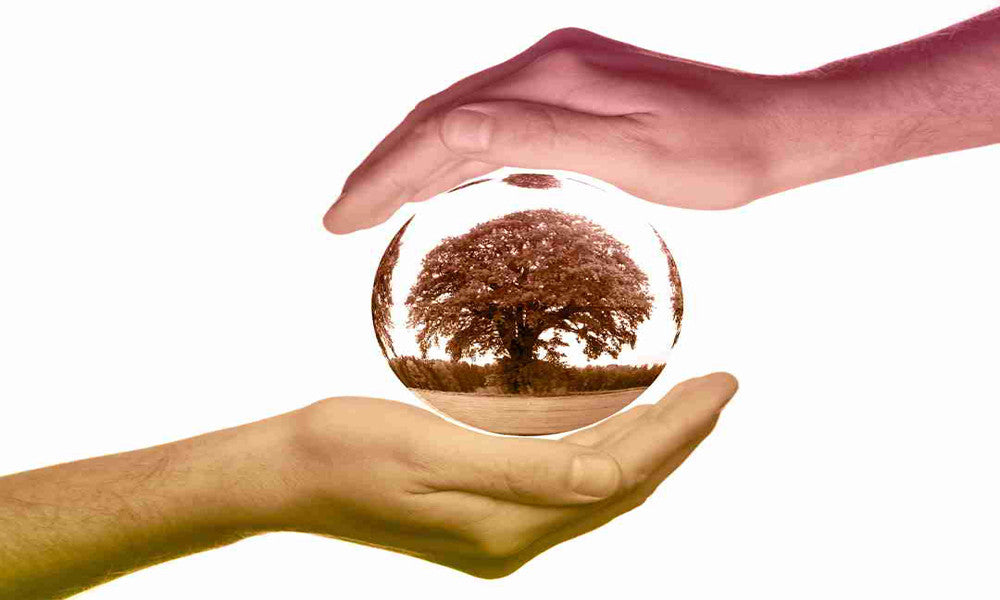 Close up of two hands folding around a glass bowl, feature a large tre, landscape and field